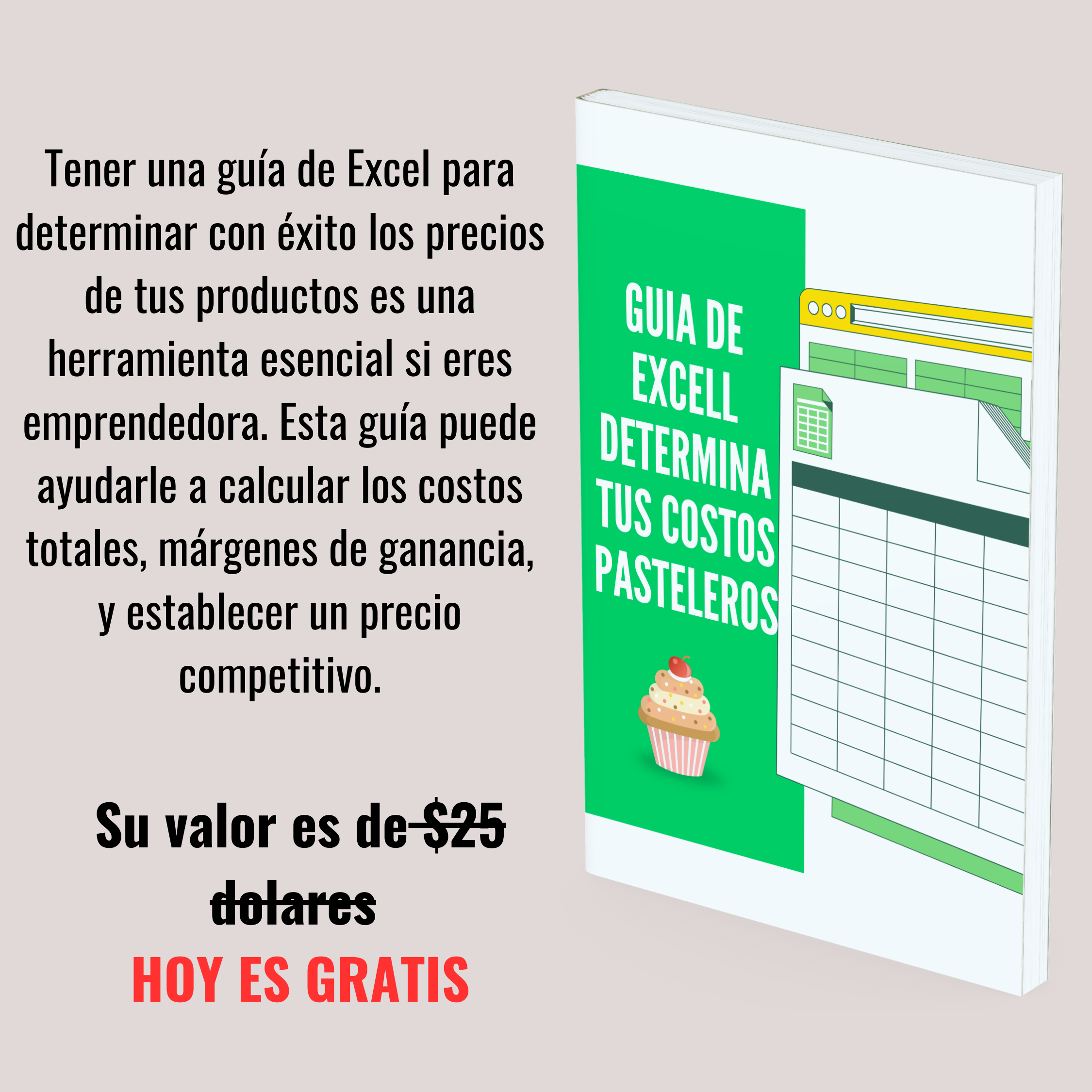 gUIA DE EXCELL PARA COSTOS PASTELEEROS (20)