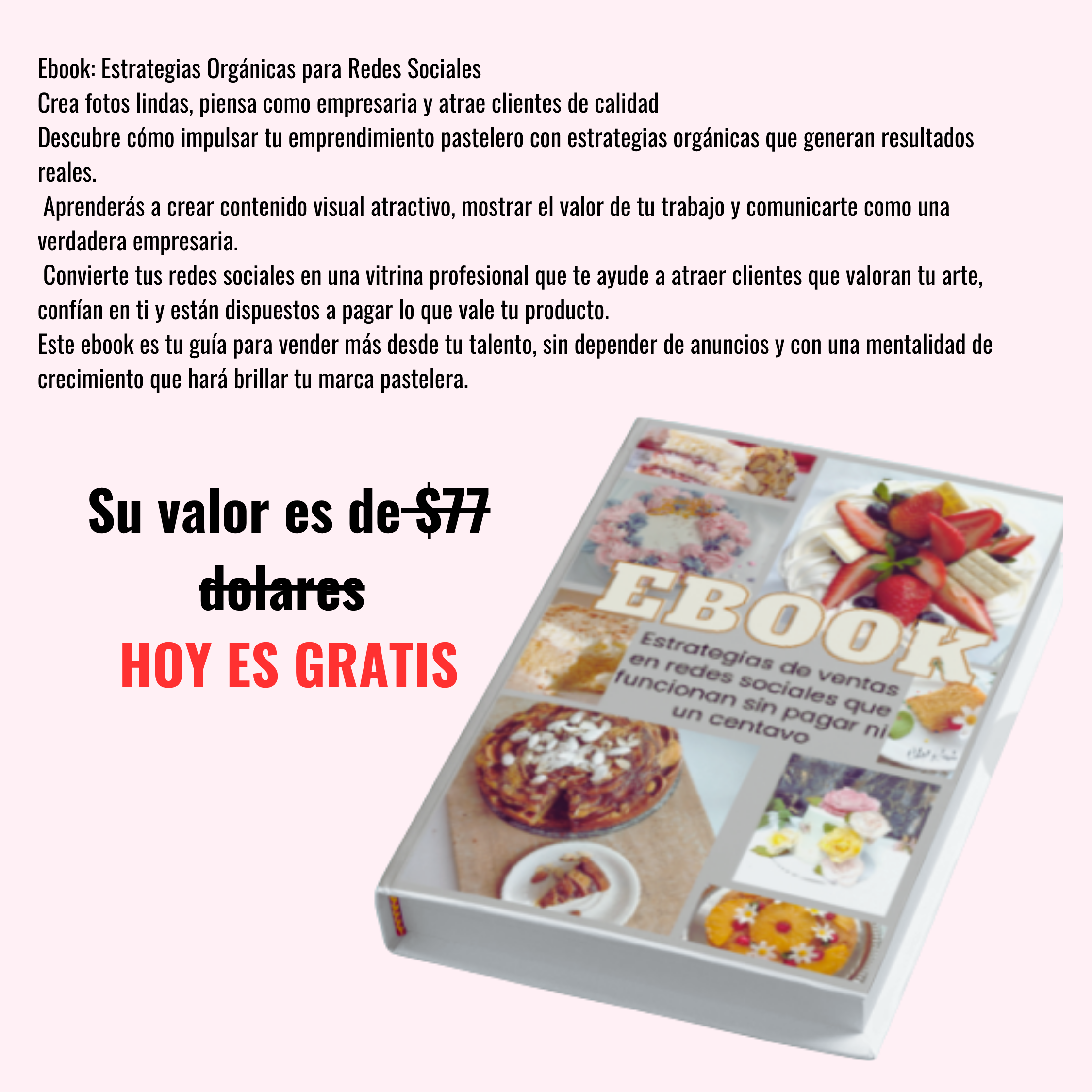gUIA DE EXCELL PARA COSTOS PASTELEEROS (27)